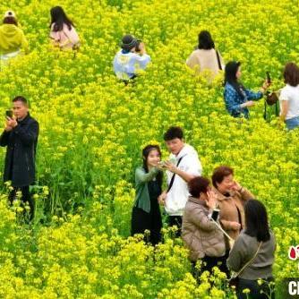 瑞安未来一周天气预报（XXXX年XX月XX日至XX日详细预测）