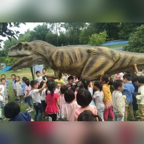 重庆鲜花港最新进展揭秘