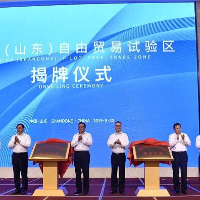 青岛自贸区最新动态，深度解读与报道