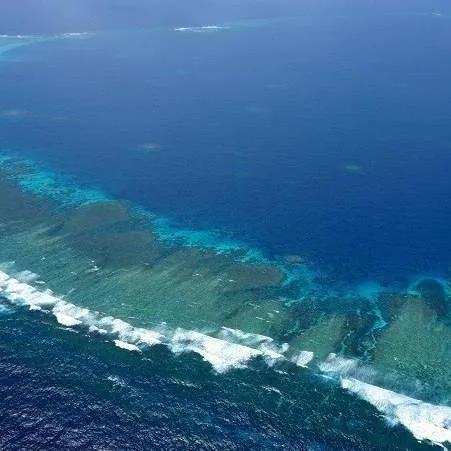 中越南海争端最新动态报道