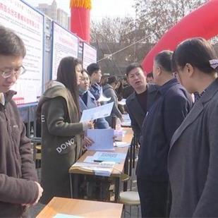 辛集人才网招聘信息解析