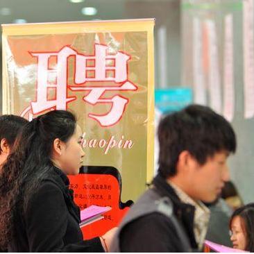 石家庄人才网招聘动态深度解析