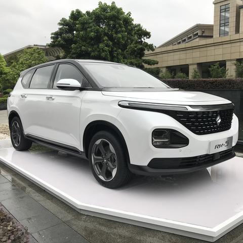 RM2025报告，行业趋势、数据洞察及未来展望