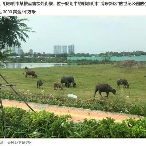 大厂县城房价更新情报
