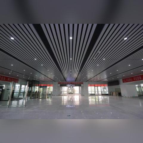穗莞深轻轨最新进展消息速递