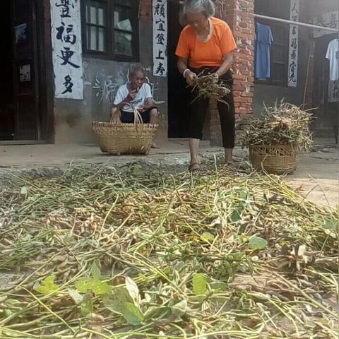 邵阳东城快线最新进展消息速递