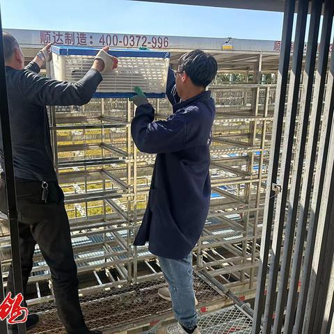 石林公棚秋棚最新动态深度报道