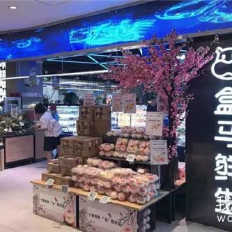 安庆西高铁站最新动态深度解析