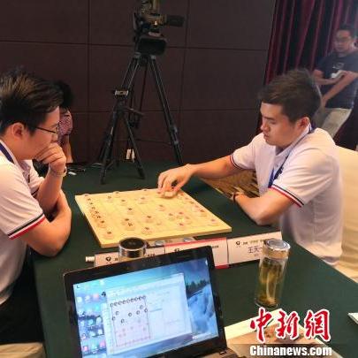 伊泰B股股票最新动态深度解析