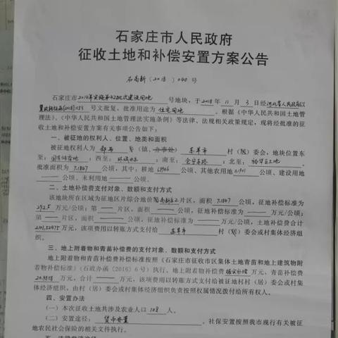石家庄东羊市最新动态报道