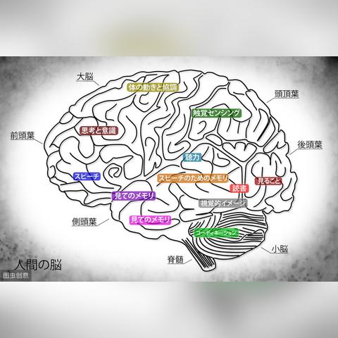 朗读者最新一期，自然奥秘探索之旅