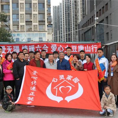 土豆黄金会员共享，深度解析与实用指南