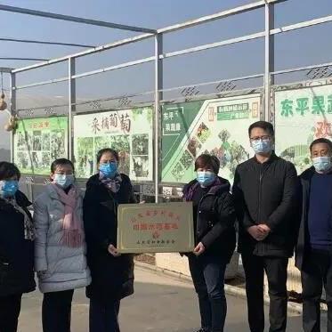 泰安工厂招工信息及就业机遇解析