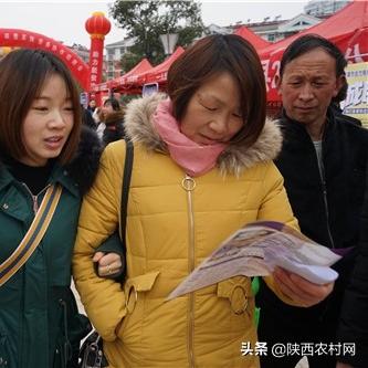 昆山汉阳最新招聘信息全面解析