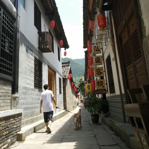 汉中车祸实时新闻更新
