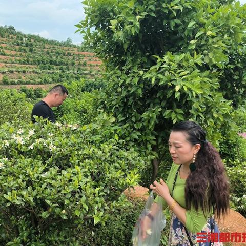 长沙宁乡城区最新规划解读