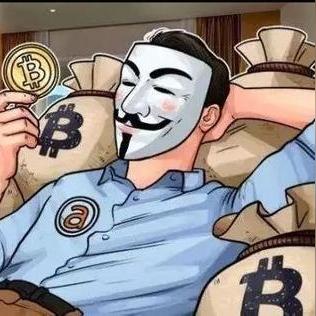 瓦特币最新动态，深度解读市场消息