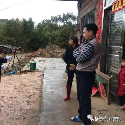 湖北掌大最新版，数字时代的新面貌探索