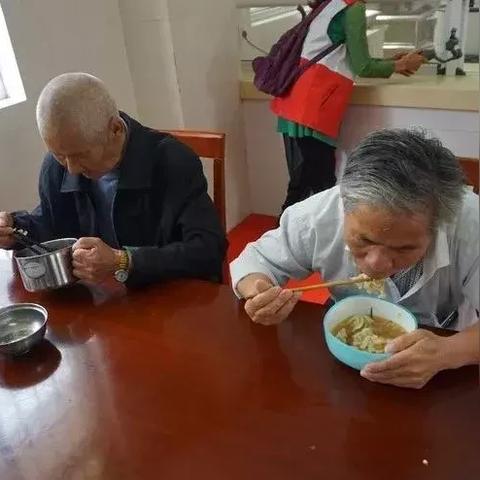 鸟栖虫居