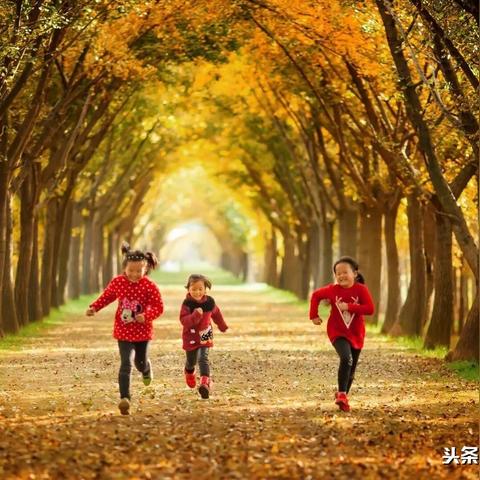 邳州新苏中心房价走势分析