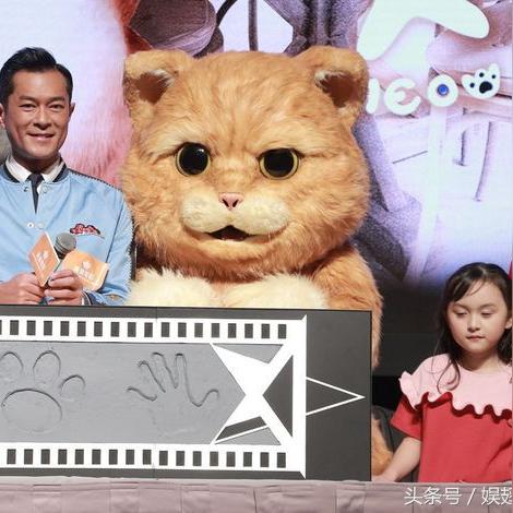 马丽最新电视剧作品，深度剖析与解析