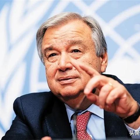 世卫组织大会最新动态深度剖析