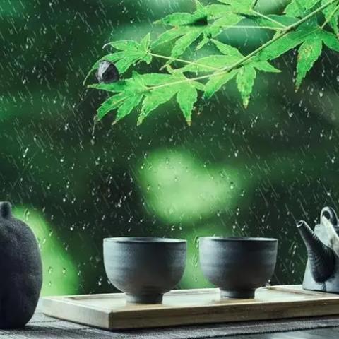 揭秘雨天幽默瞬间，那些让人捧腹的段子大赏